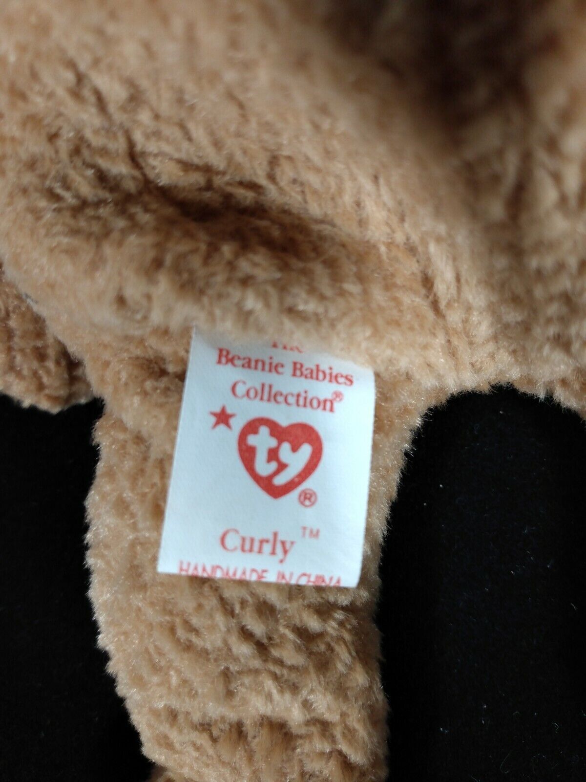 Ty Beanie Babies Curly The Bear Plush-Retired